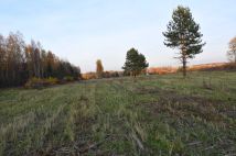 Działka budowlana Szydłowiec, ul. Lipowa. Zdjęcie 2