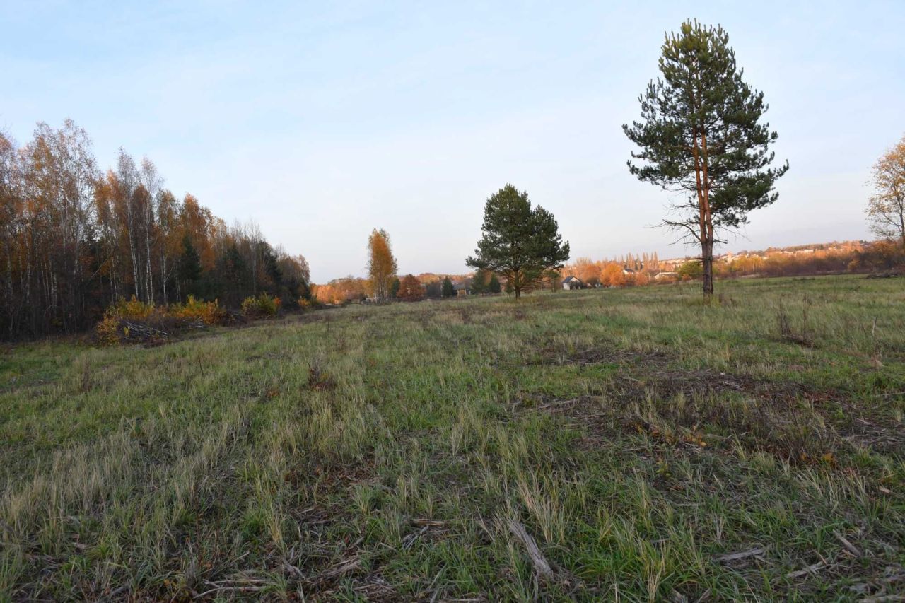 Działka budowlana Szydłowiec, ul. Lipowa. Zdjęcie 3