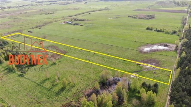 Działka rolna Zielnowo. Zdjęcie 2