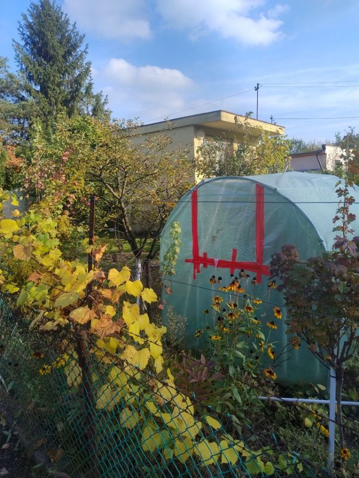 Działka rod Częstochowa Ostatni Grosz. Zdjęcie 8