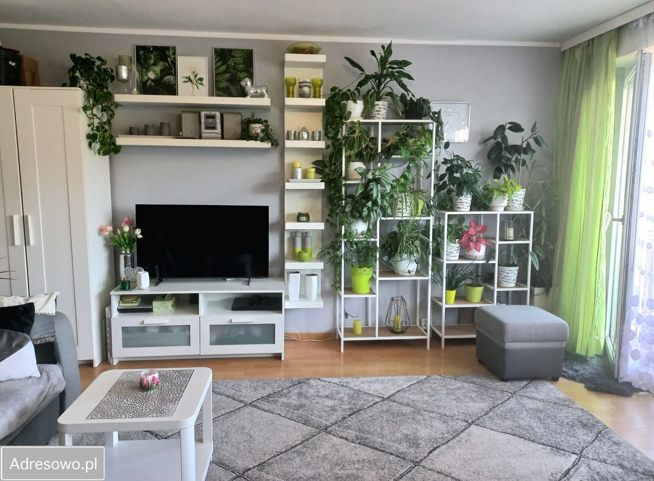 Mieszkanie 3-pokojowe Alwernia, os. Chemików