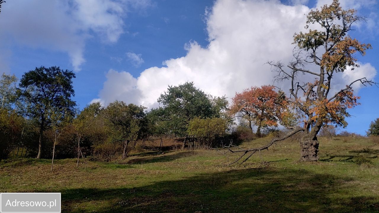 Działka budowlana Lutomierz. Zdjęcie 3
