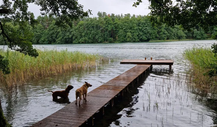 Działka budowlana Komorze
