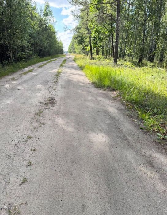 Działka budowlana Grzybowo. Zdjęcie 3