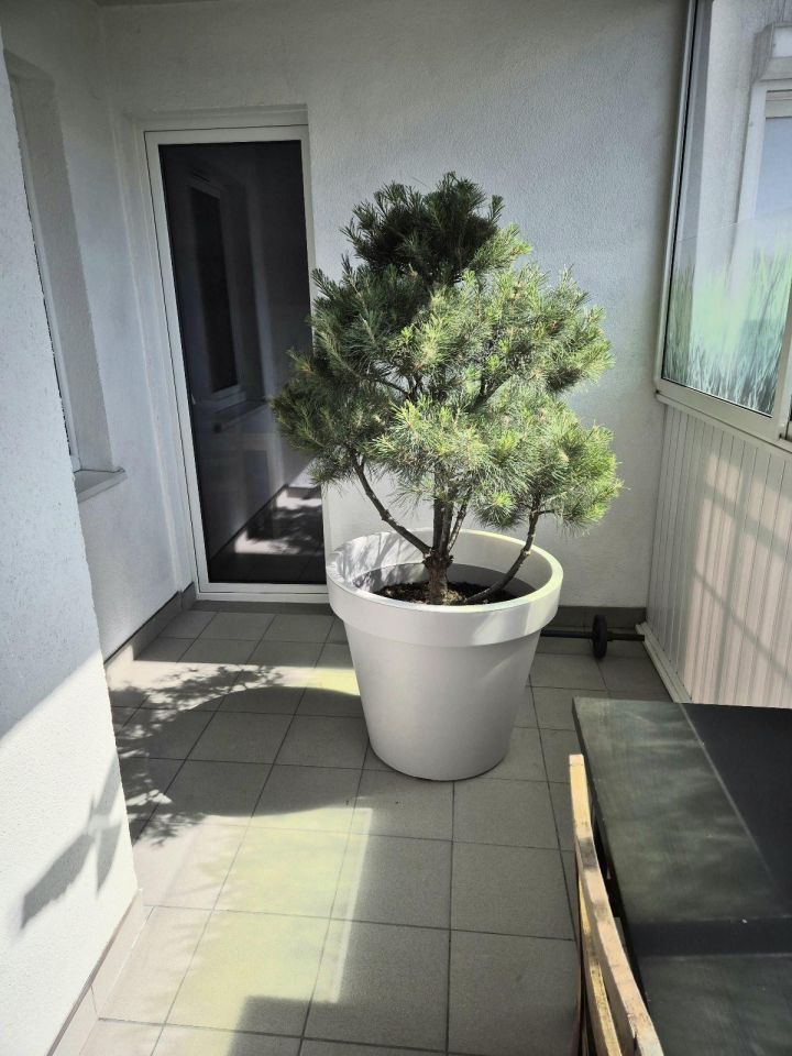 Mieszkanie 2-pokojowe Poznań Grunwald, ul. Promienista. Zdjęcie 2