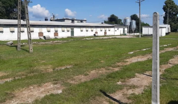 Nieruchomość komercyjna Kliczewo Małe, ul. Nowa