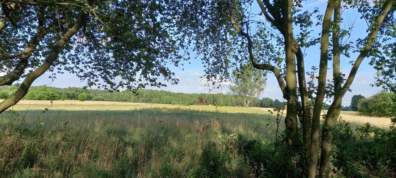 Działka rolna Kuskowizna. Zdjęcie 2