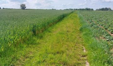 Działka rolna Krzysztoforzyce, Ul. Węgrzynowicka