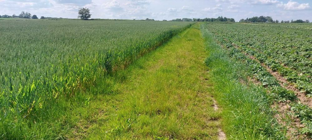 Działka rolna Kraków Nowa Huta, ul. Węgrzynowicka. Zdjęcie 1