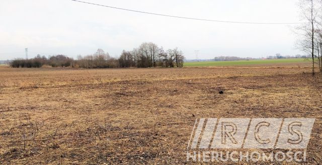 Działka budowlana Sadków. Zdjęcie 9