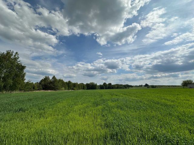 Działka budowlana Staszów. Zdjęcie 1