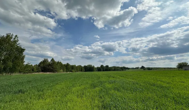 Działka budowlana Staszów