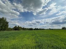 Działka budowlana Staszów