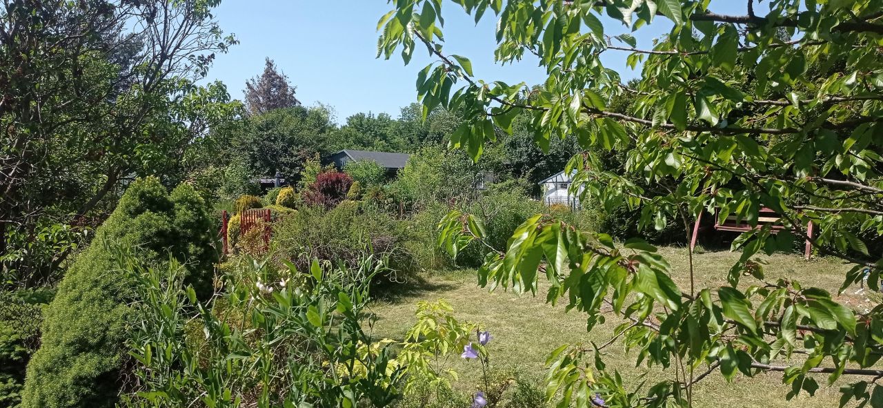 Działka rod Łódź Widzew, ul. Lodowa. Zdjęcie 26