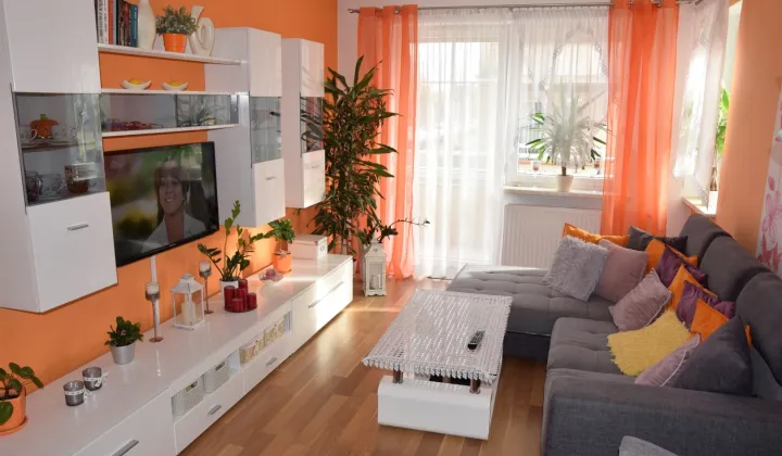 Mieszkanie 2-pokojowe Gniezno