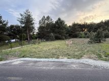 Działka rolna Piastowo. Zdjęcie 1