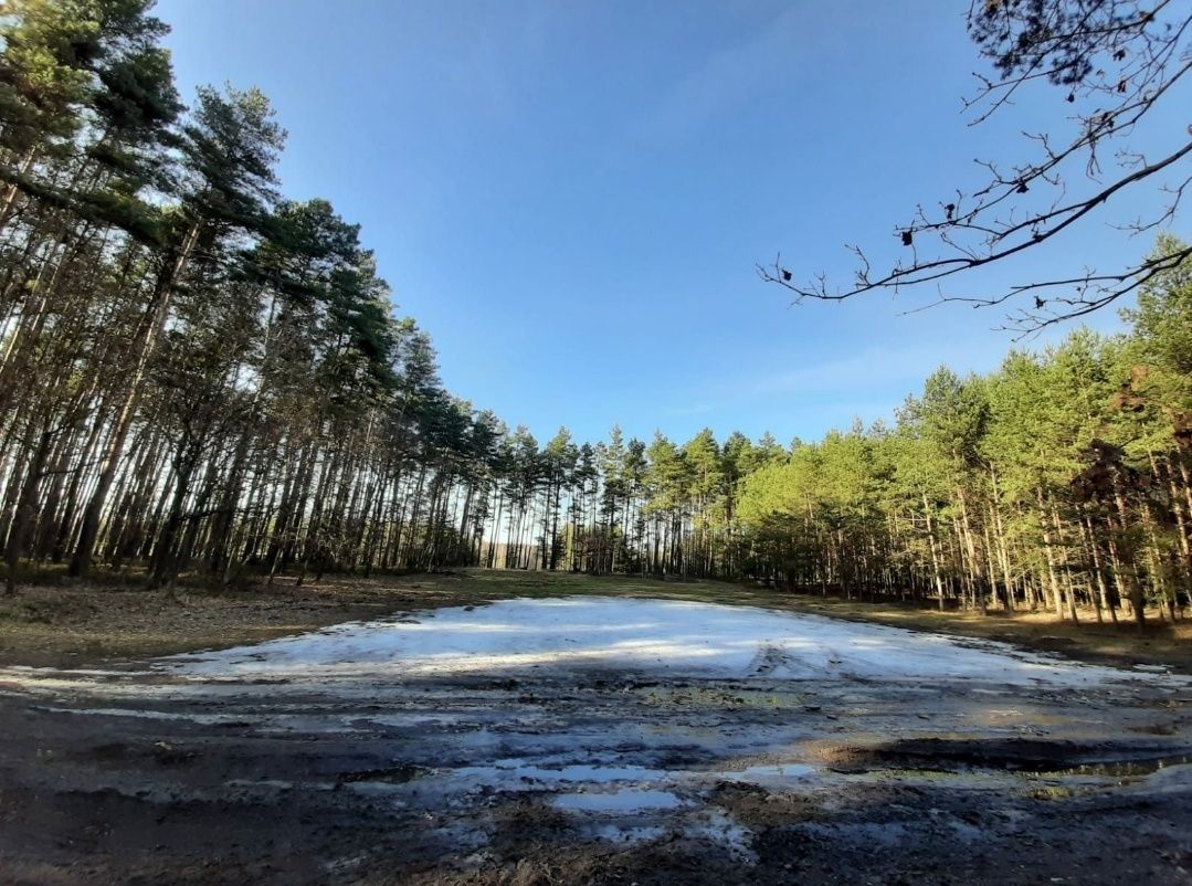 Działka rolno-budowlana Ożarowice, ul. Tarnogórska. Zdjęcie 7