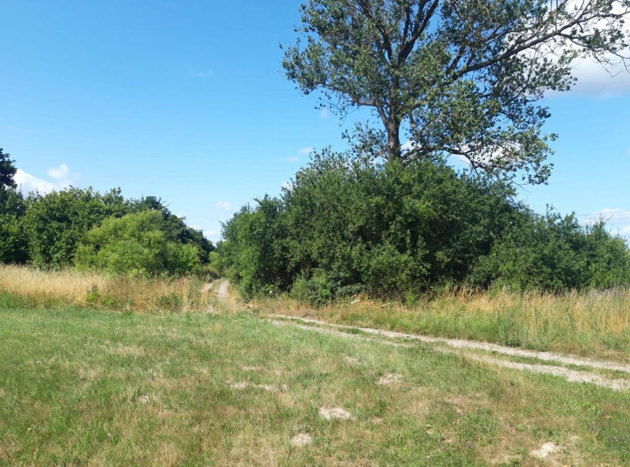 Działka budowlana Czarne Małe. Zdjęcie 2