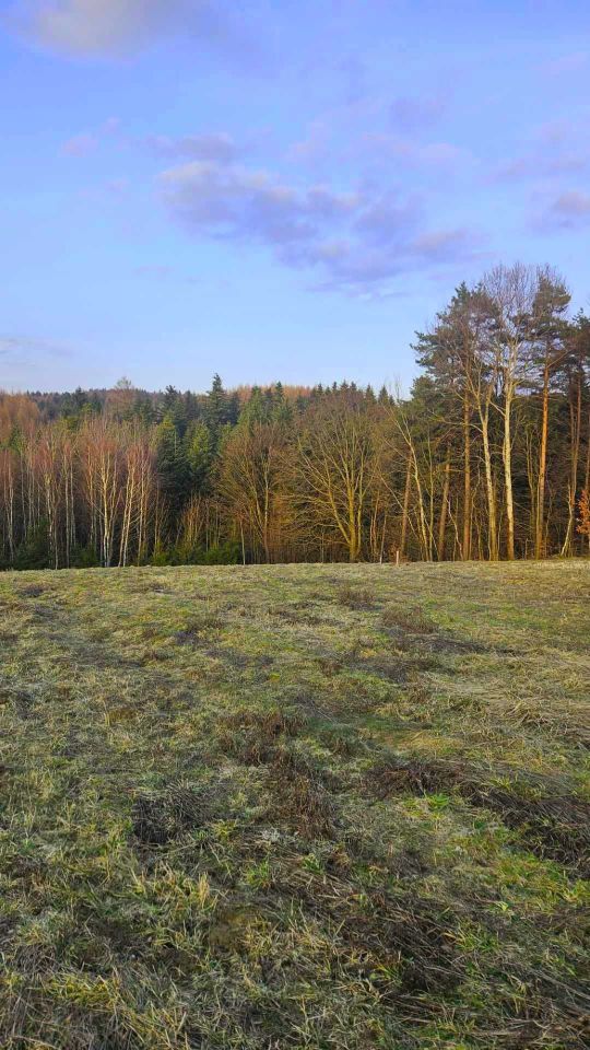 Działka rekreacyjna Bonarówka. Zdjęcie 5