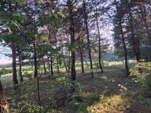 Działka siedliskowa Śródborze. Zdjęcie 2