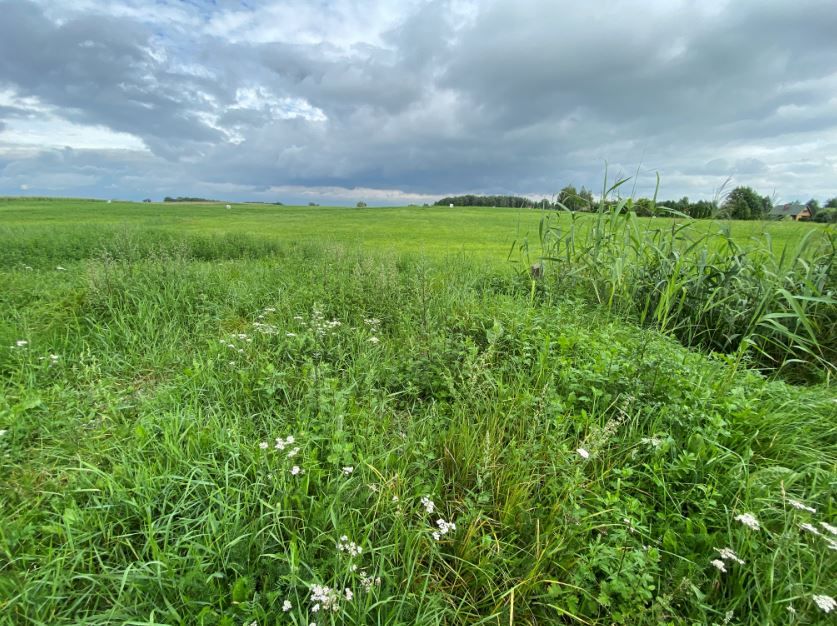Działka rekreacyjna Dreństwo. Zdjęcie 4
