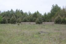 Działka budowlana Gąski, ul. Górna. Zdjęcie 4