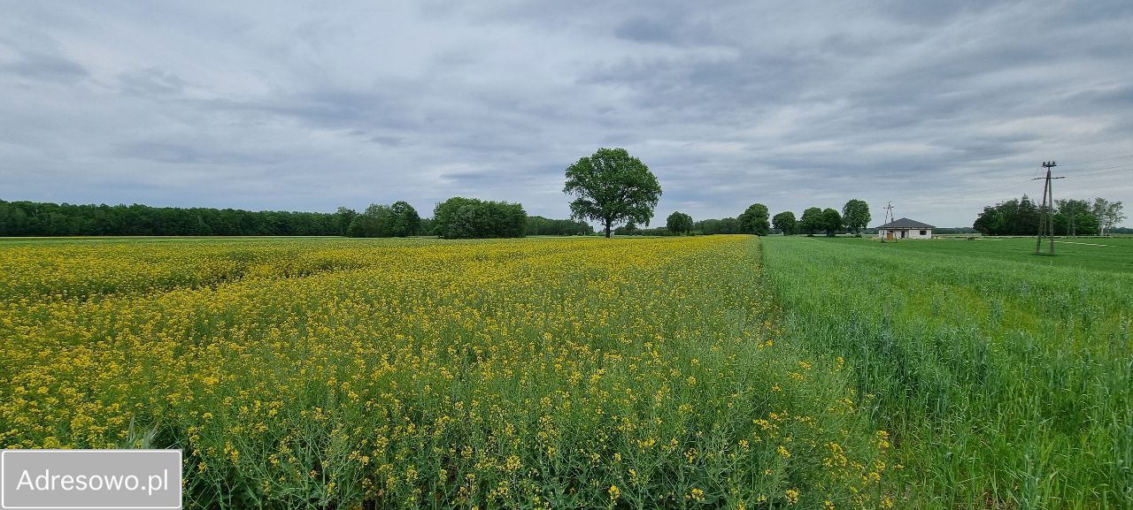 Działka rolno-budowlana Jadwinów