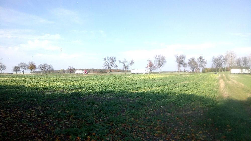 Działka inna Stołpie. Zdjęcie 3