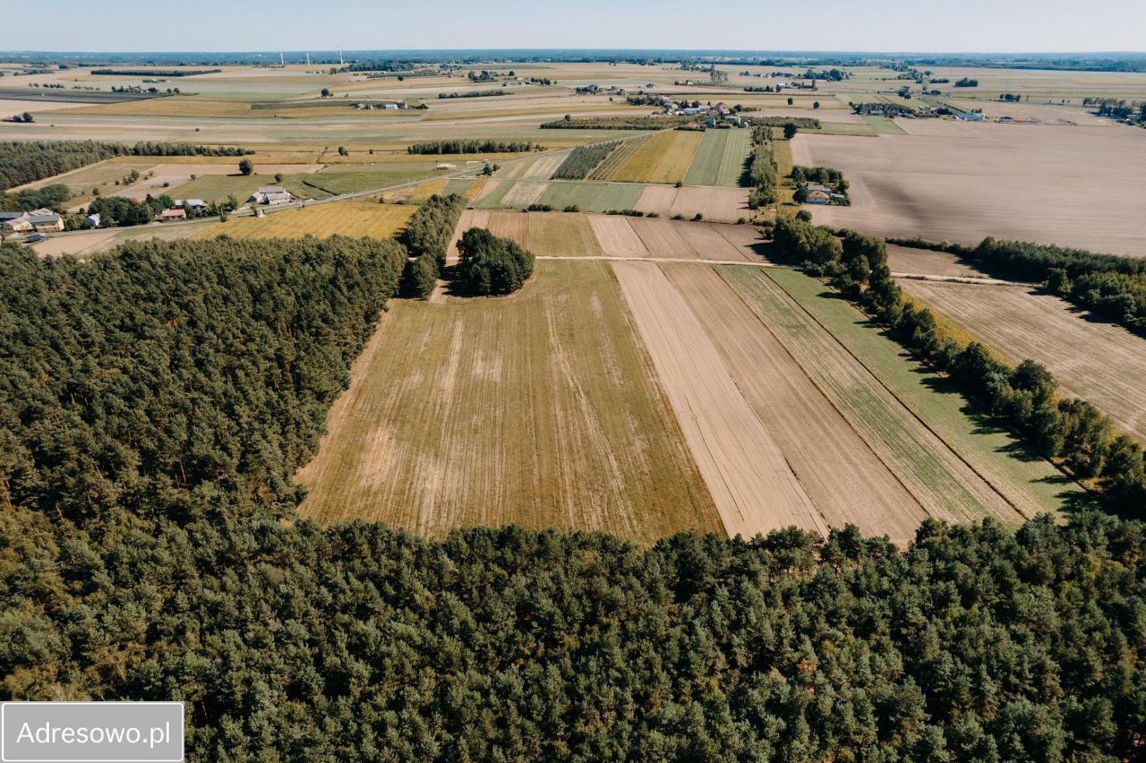 Działka budowlana Plebanki. Zdjęcie 6
