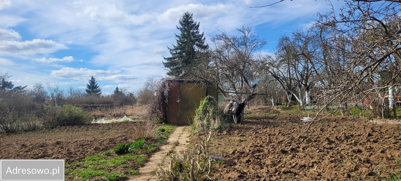 Działka rod Gorzów Wielkopolski Zakanale , ul. Marcina Kasprzaka. Zdjęcie 4