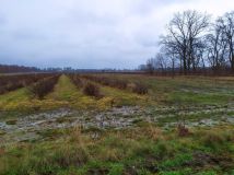 Działka rolna Tułowice. Zdjęcie 3