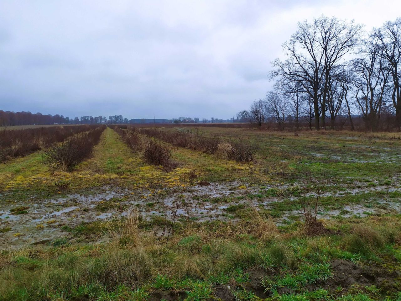 Działka rolna Tułowice. Zdjęcie 4