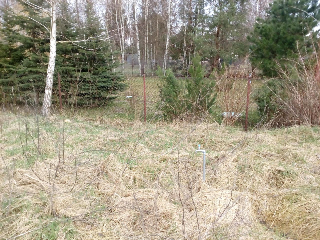 Działka budowlana Okuninka. Zdjęcie 10