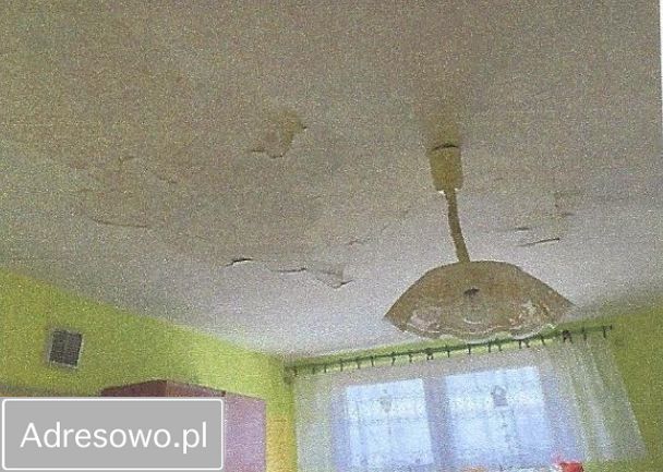 Mieszkanie 2-pokojowe Kiełpiny. Zdjęcie 14