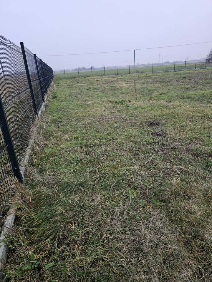 Działka siedliskowa Kajew. Zdjęcie 7