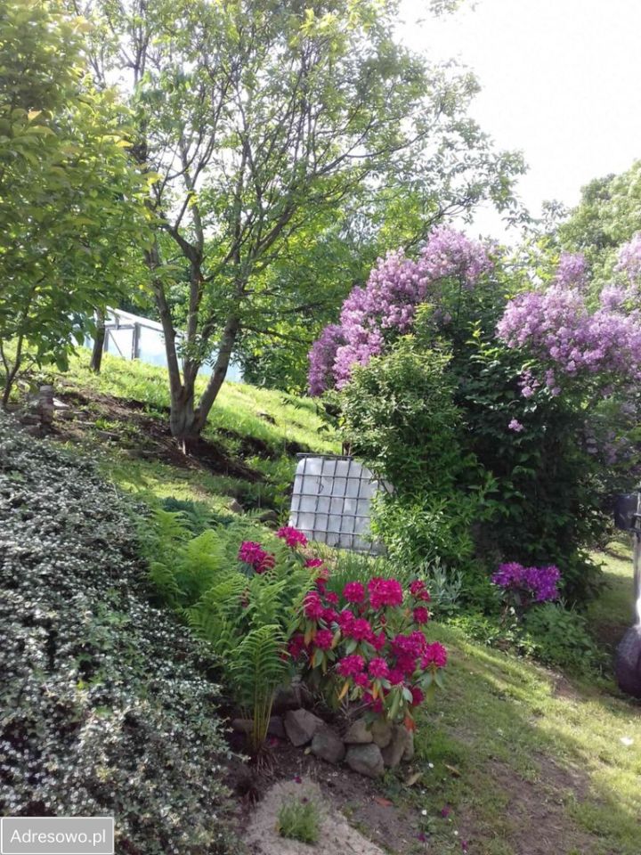 dom wolnostojący, 6 pokoi Rościszów. Zdjęcie 7