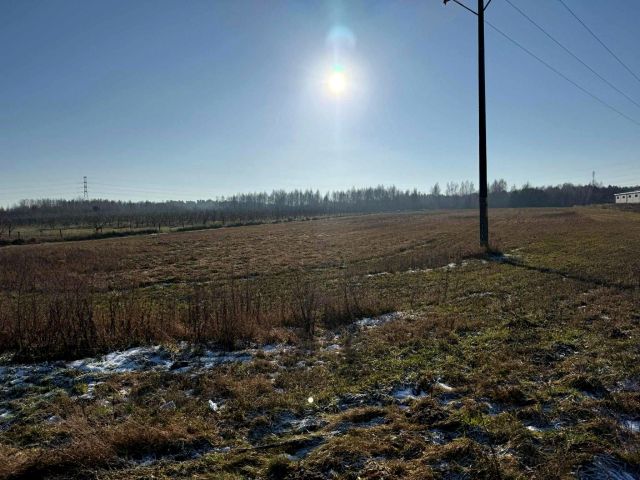 Działka inwestycyjna Gorzów Wielkopolski Chróścik. Zdjęcie 1