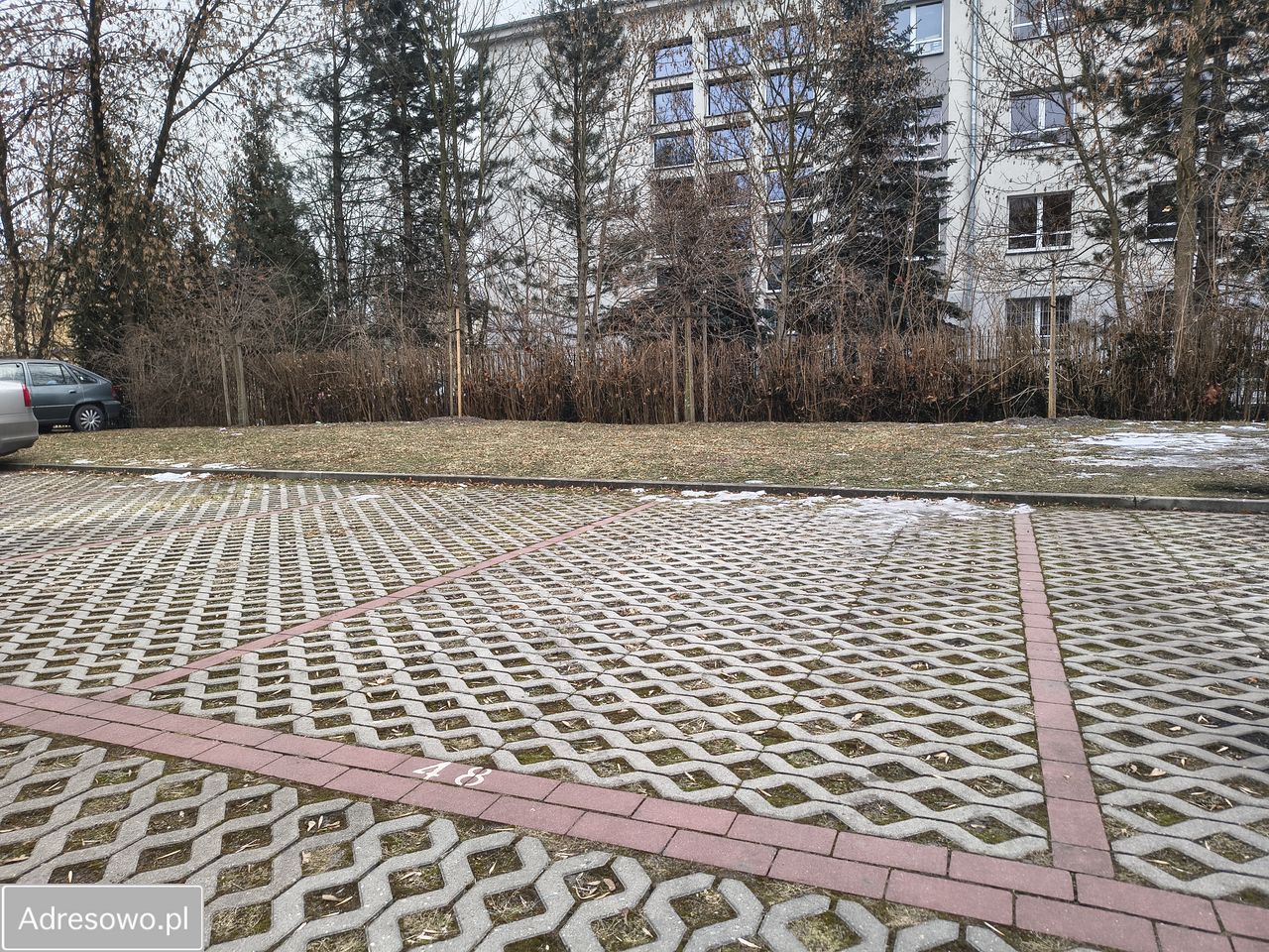 Mieszkanie 3-pokojowe Sosnowiec Sielec, ul. Legionów. Zdjęcie 2