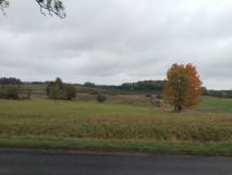 Działka rolno-budowlana Pożarki. Zdjęcie 1