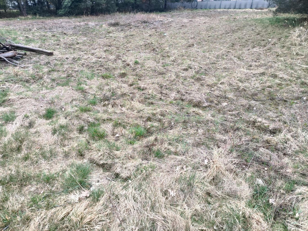 Działka budowlana Masłów. Zdjęcie 5