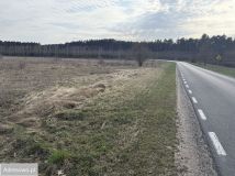 Działka rolna Sątopy. Zdjęcie 1