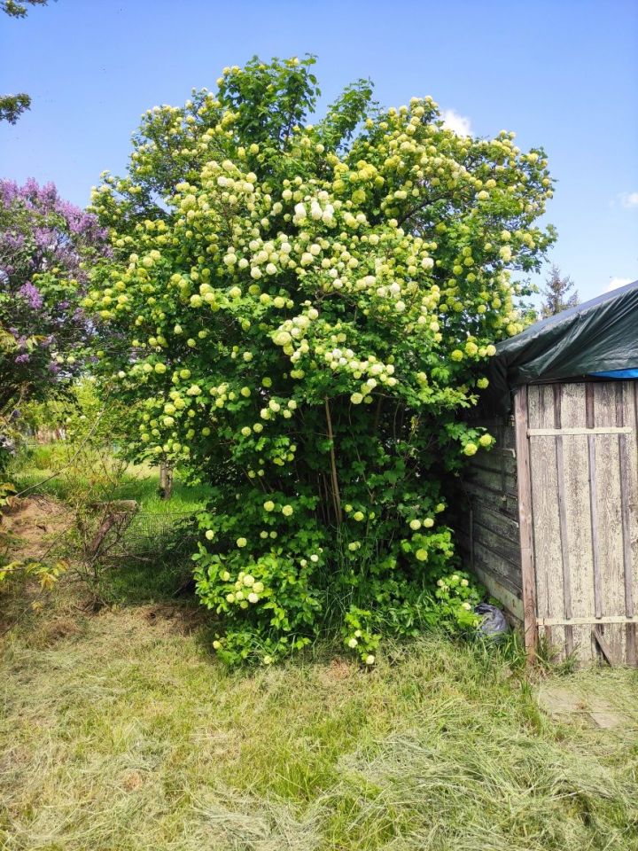 Działka rod Wrocław Fabryczna, ul. Szczecińska. Zdjęcie 6