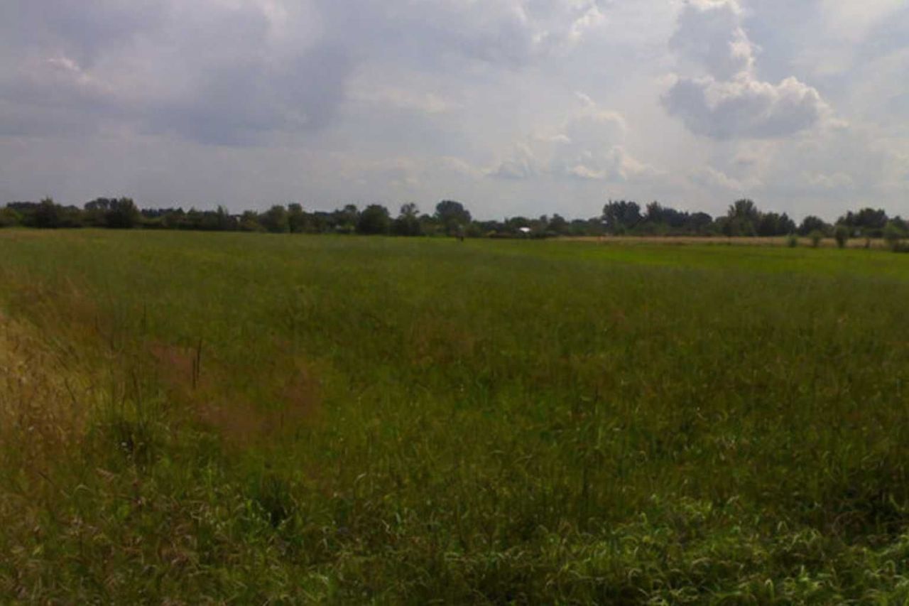 Działka inwestycyjna Gorzów Wielkopolski Zakanale . Zdjęcie 2
