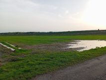 Działka rolna Lubice. Zdjęcie 2