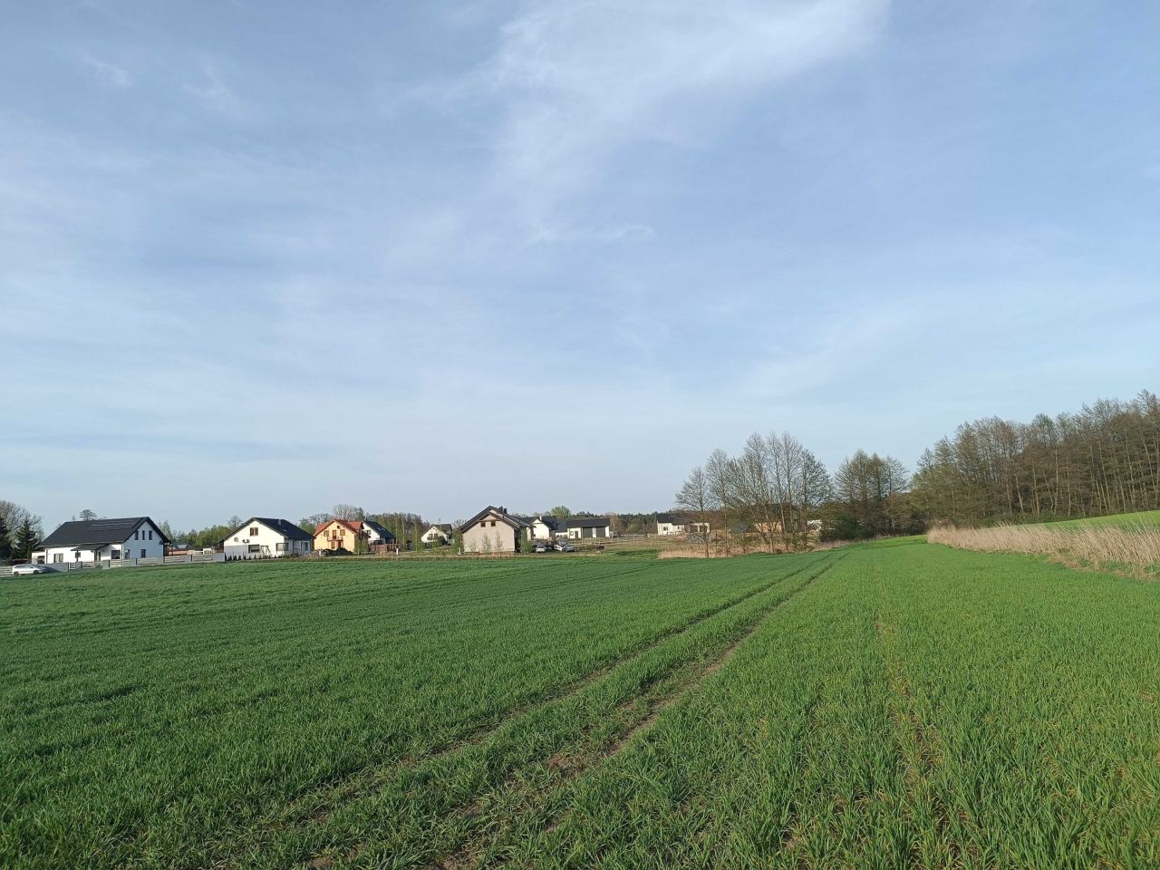 Działka budowlana Dobierzyn. Zdjęcie 3