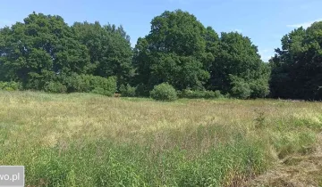 Działka na sprzedaż bez pośredników          
          
            Dobroszyce – další