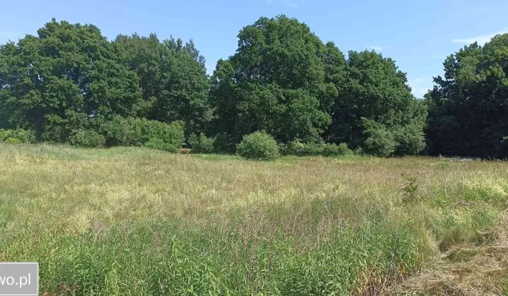 Działka rolno-budowlana Siekierowice