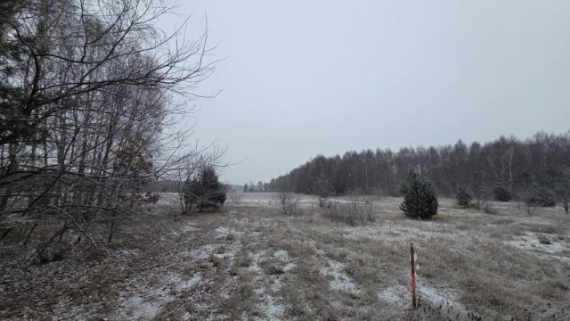 Działka rekreacyjna Osada-Wola. Zdjęcie 4