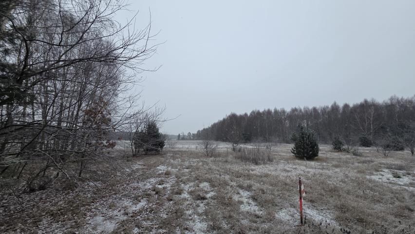 Działka rekreacyjna Osada-Wola. Zdjęcie 4