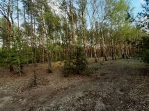 Działka rekreacyjna Kruczy Borek. Zdjęcie 3